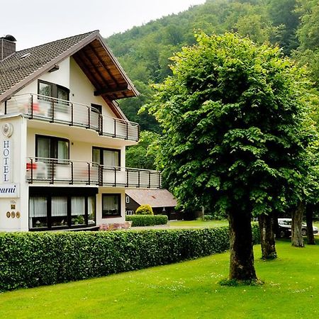 Harz Hotel Iris Sieber エクステリア 写真
