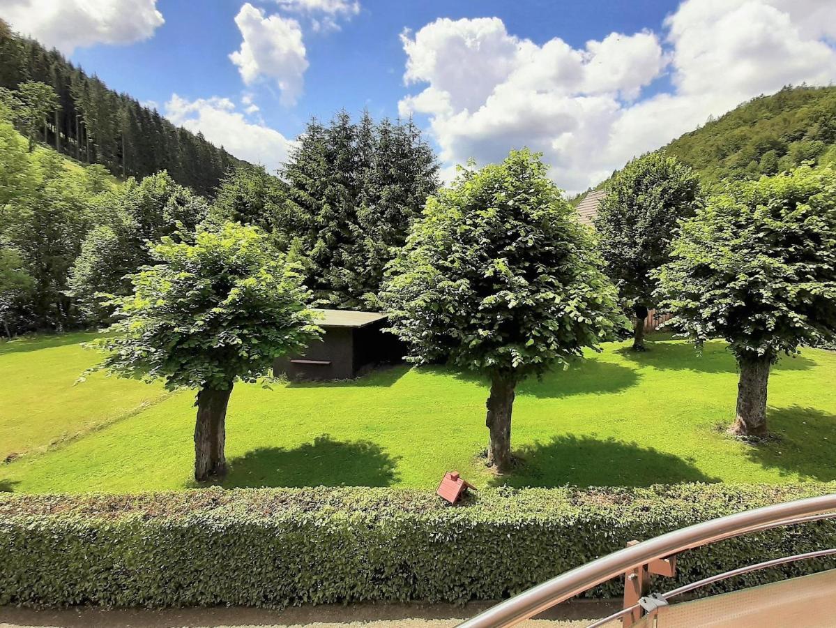Harz Hotel Iris Sieber エクステリア 写真