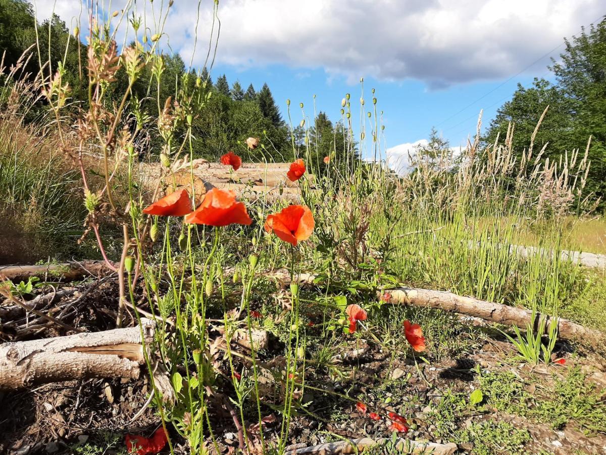 Harz Hotel Iris Sieber エクステリア 写真