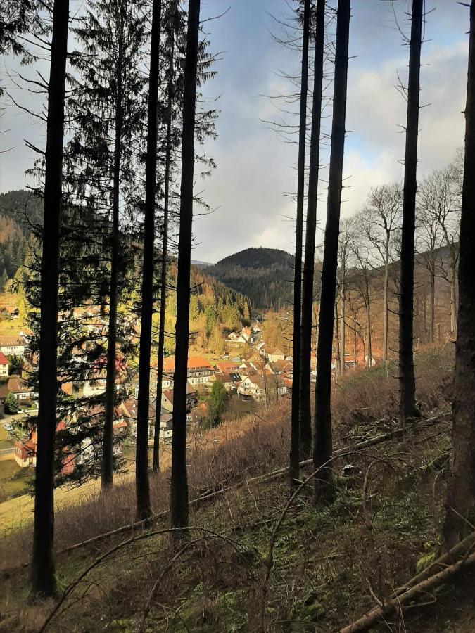 Harz Hotel Iris Sieber エクステリア 写真