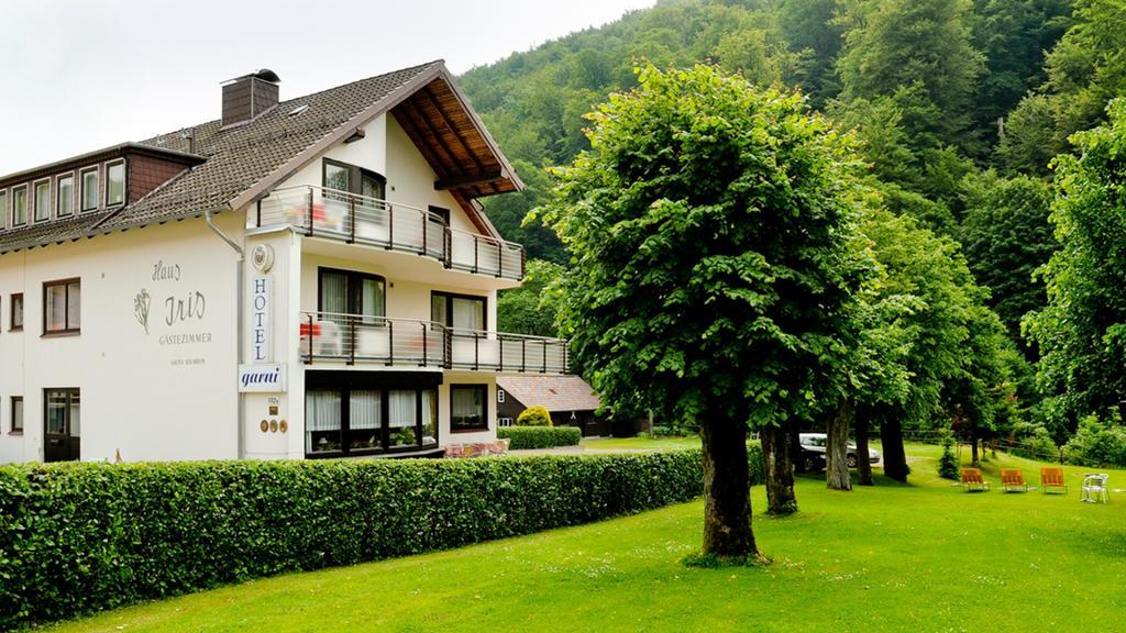 Harz Hotel Iris Sieber エクステリア 写真