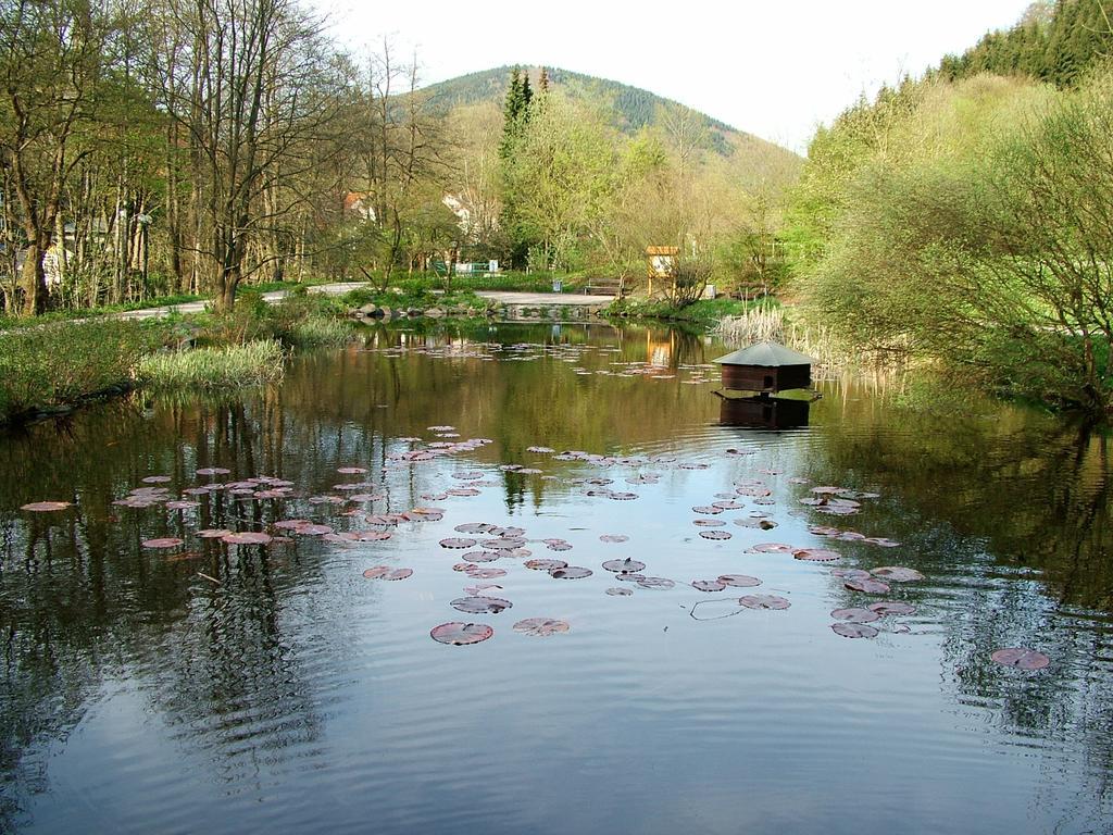 Harz Hotel Iris Sieber エクステリア 写真