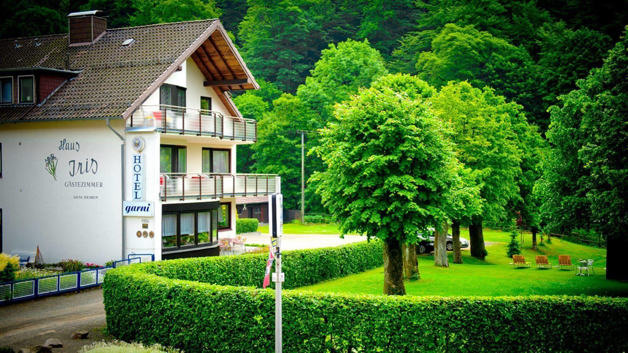 Harz Hotel Iris Sieber エクステリア 写真